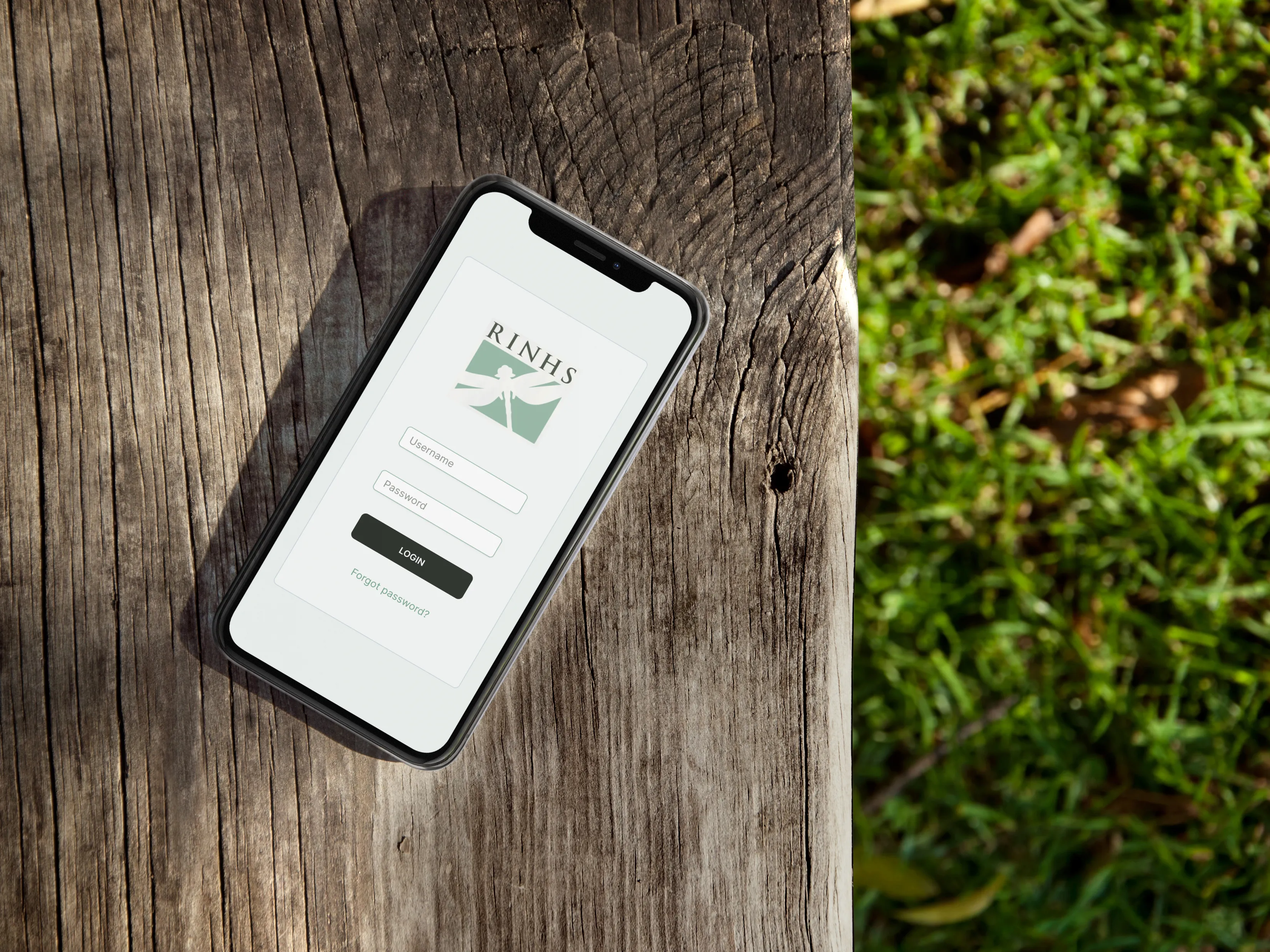 BORIIS2 Screenshot 3