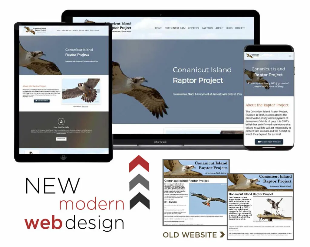 Conanicut Island Raptor Project Website