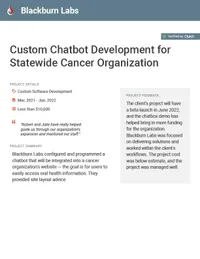 Custom Chatbot Development for Statewide Cancer Organization preview
