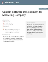 Custom Software Development for Marketing Company preview