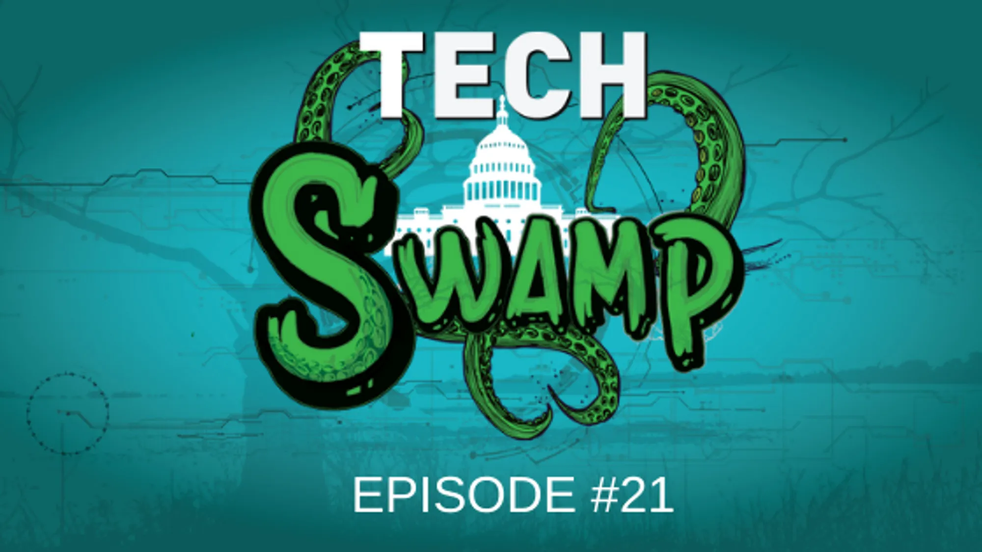 Cover for Tech Swamp Interviews Blackburn Labs