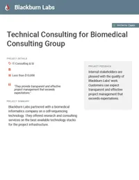Technical Consulting for Biomedical Consulting Group preview